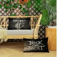 thumbnail image 6 of Halloween Pillow Covers 12x20 Set of 4 Trick or Treat Decorative Throw Pillows Cover Black Ghost Spider Web Pumpkin Pillow Cases Home Outdoor Sofa Couch Cushion Covers for Halloween Decor (12 by 20), 6 of 6