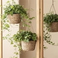 thumbnail image 2 of BinKFF Hanging Planter Basket Natural Seagrass Woven Plant Pot Hanger Hanging Plant Holder with Twine for Home Decor, Indoor & Outdoor Use, 7.8" x 4.7", Khaki, 2 of 3