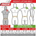 thumbnail image 3 of RDX Weight Lifting Belt 6 inch Cow Hide Leather Back Gym Training Support Fitness Exercise Bodybuilding, 3 of 4