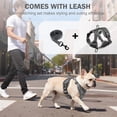 thumbnail image 6 of PayUSD Dog Harness with Leash Cat Harness No Pull Adjustable No Choke Pet Vest for Small Dogs Cats, 6 of 9