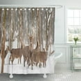 thumbnail image 1 of ABPHQTO Glencoe Red Stag Young Deer in Winter Forest Snow Cortina de ducha 150x180 cm, 1 of 1