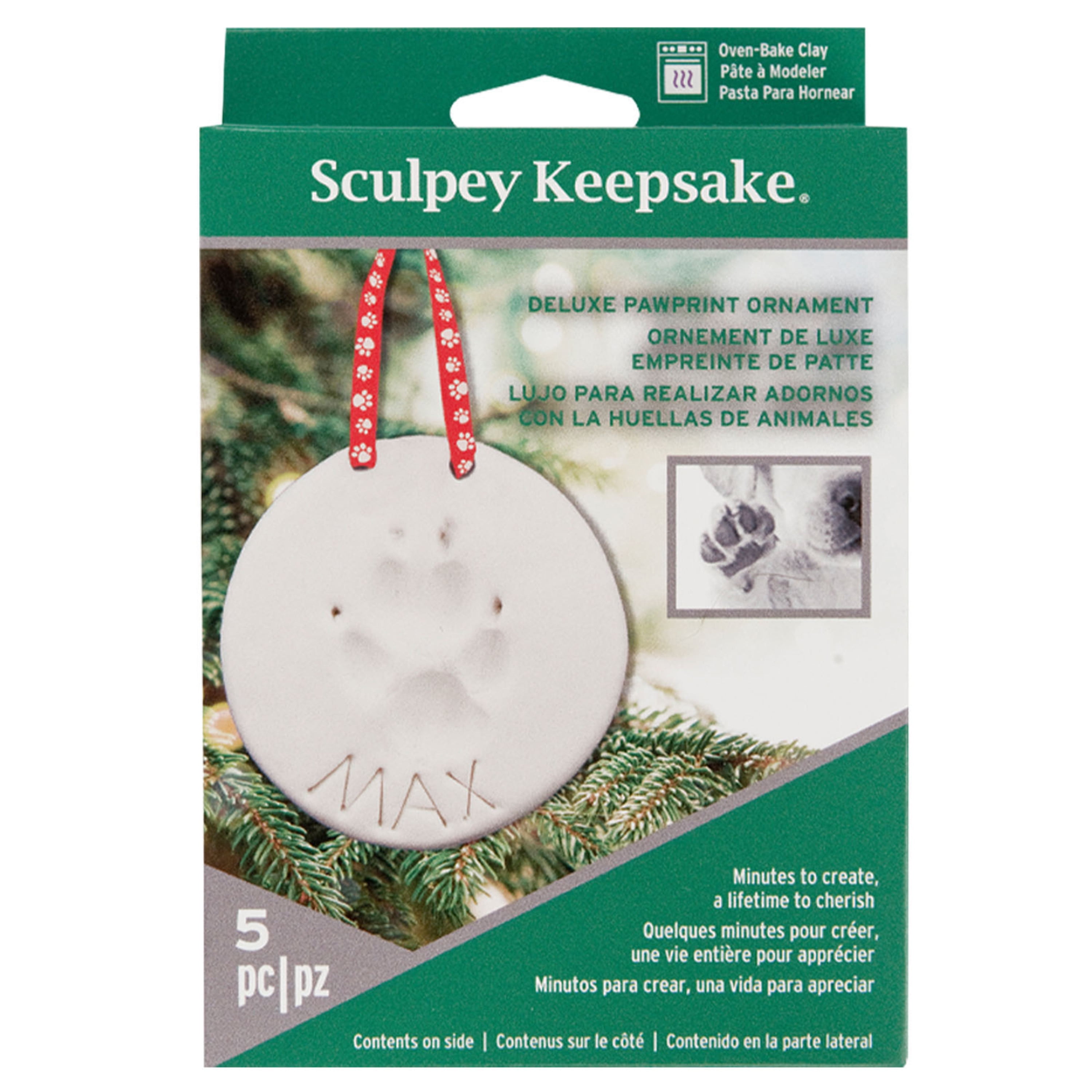 paw print ornament kit