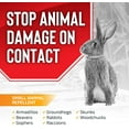 thumbnail image 6 of Animal Stopper Animal Repellent, 40# Ready-to-Use Granular Bulk; Repels Small Animals, 6 of 6