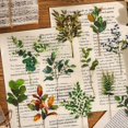thumbnail image 3 of Pegatinas de mariposas con flores y cuenta de mano del Museo de Historia Natural Bolsa de pegatinas retro para niños con cuenta de mano, 3 of 5