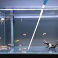 thumbnail image 3 of Alimentador de corales Aquarium Choice con jeringa larga para fertilizante líquido. Herramienta para alimentar corales de arrecife y limpiar excrementos de peces., 3 of 7
