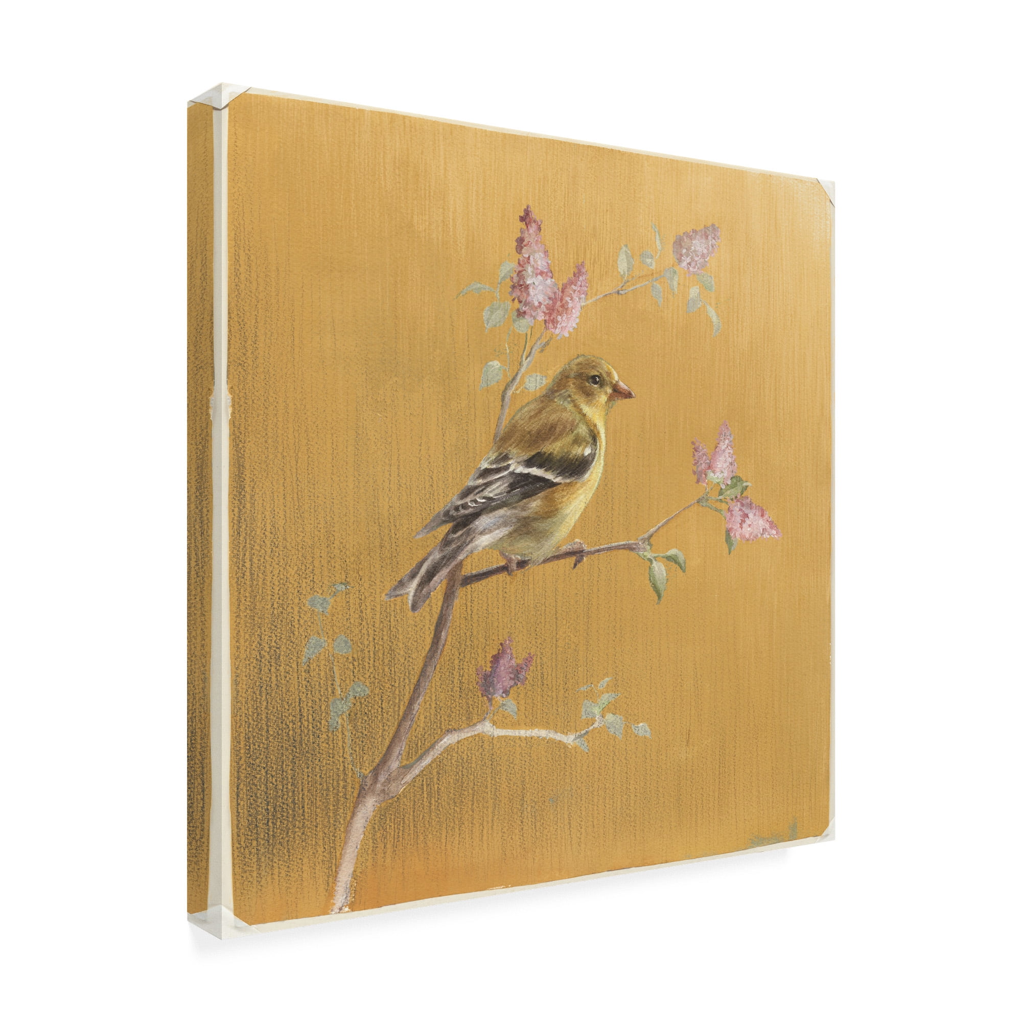 Trademark Fine Art 'Female Goldfinch on Gold' Canvas Art by Danhui Nai