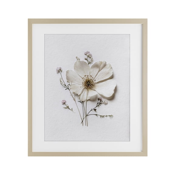 Simple Pressed Cottage Flower Birch Framed Print Under Glass, design by Lettered and Lined