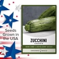 thumbnail image 5 of Caserta Zucchini Seeds, 5 of 7