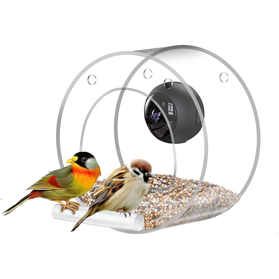 Bird Feeder with Camera,1080P HD Wireless Live View, 170° Wide Angle & Night Vision, 2.4G WiFi Remote Access for Smartphone Bird Watching