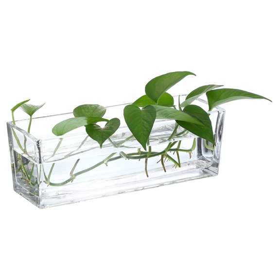 Uxcell 1 Pcs Rectangular Glass Vase 9.84 x 3.94 x 3.94" Clear Planter Terrarium for Wedding