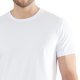 thumbnail image 3 of TOM TAILOR Camiseta de hombre, paquete de 4 - Camiseta de la suerte, media manga, cuello redondo, lisa Blanco M (Medium), 3 of 3