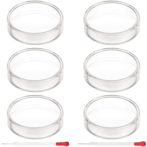6 Set Glass Petri Dishes High Borosilicate Glass Bacterial Culture Dishes with Lid 70mm Dia x 20mm Deep with 2pcs Glass Culture Plate for Laboratory School Science Project