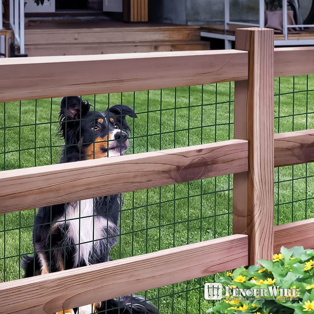 Fencer Wire Vinyl Coated 16 Gauge Welded Fence Wire Roll, Mesh Size 2-Inch x 3-Inch, Green Metal Garden Fencing Wire Grid Hardware Cloth, Multiple Use for Home Improvement
