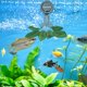 thumbnail image 5 of 2 Pinzas magnéticas para Alimentar Algas, Accorios para acuarios de Agua Salada, alimentador automático de Algas con imán para Pec y Mascotas acuáticas., 5 of 5