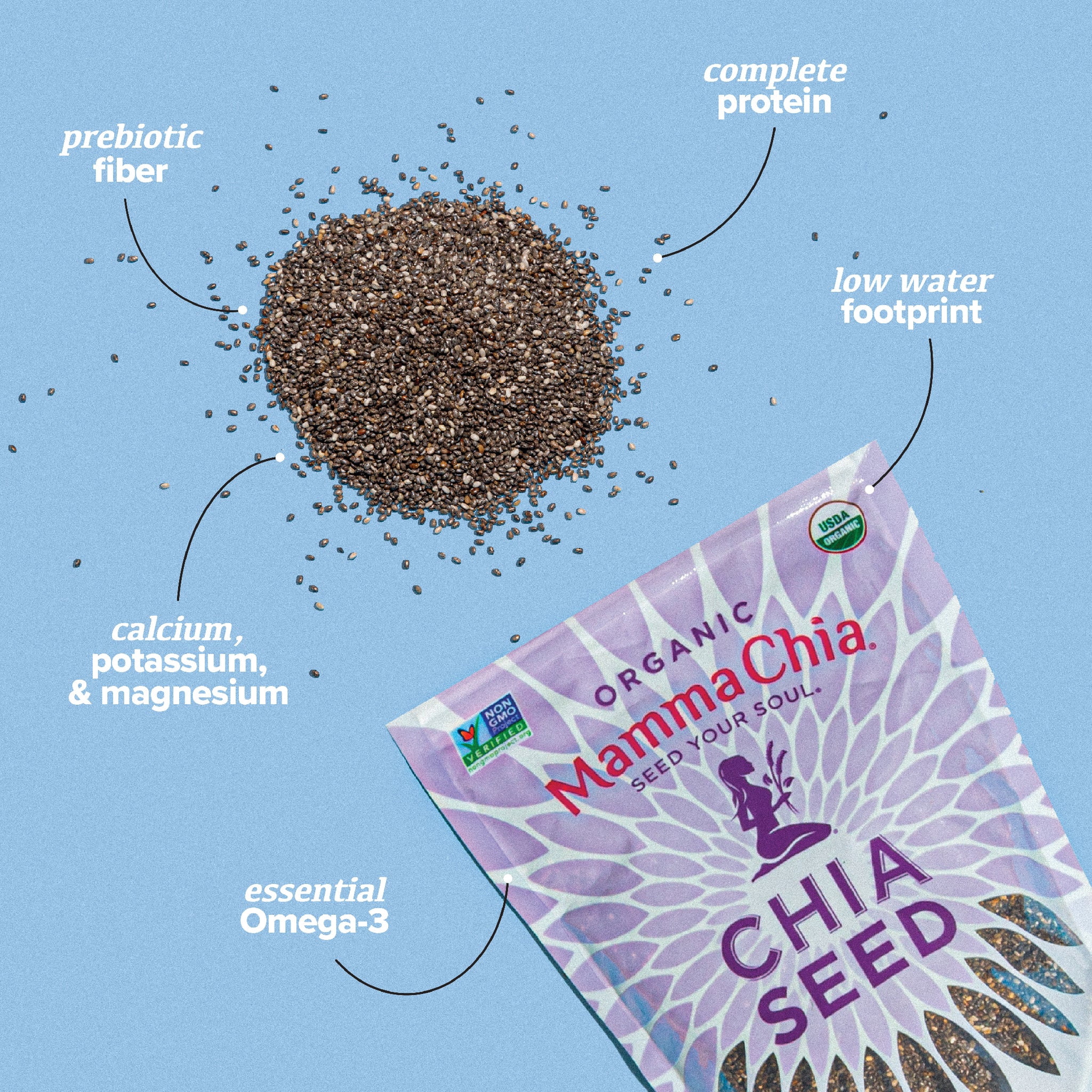 (Pack Of 4) Mammachia Seed Chia Black Organic 12 Oz
