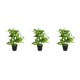 thumbnail image 4 of Bearachild Hojas artificiales de bajo mantenimiento de plantas falsas en maceta de tortuga ABS para la sala de estar de la oficina en el hogar Type1 NO1, 4 of 6