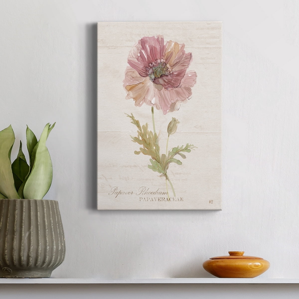 Soft Poppy Premium Gallery Wrapped Canvas - Ready to Hang - 40 x 60
