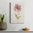 thumbnail image 4 of Soft Poppy Premium Gallery Wrapped Canvas - Ready to Hang - 32 x 48, 4 of 5