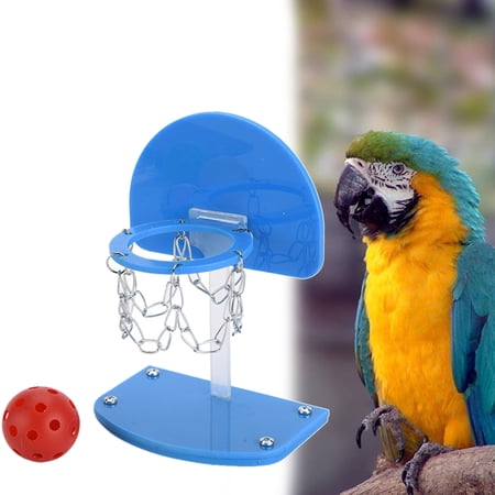 FELTECHELECTR 1Pack Mini Basketball Set Parrot Toys Blue Plastic Indoor Visual Development 11.8x4.7x3in