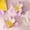 Purple, variant on 2Pcs Double Layer Sealing Clips,Magnetic Fridge Stick and Snack Bag Clips 2 In 1,Moisture-Proof Airtight Kitchen Storage