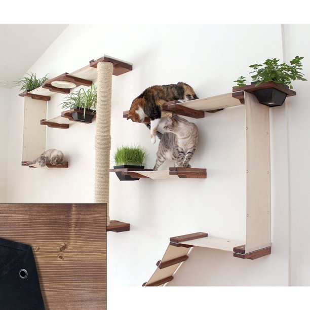 Cat Mod Garden Complex English Chestnut/Black