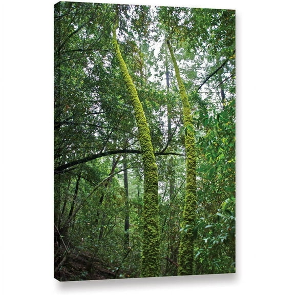 ArtWall Dan Wilson "Green Trees " Gallery-Wrapped Canvas
