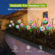 thumbnail image 5 of Paquete de 2 luces solares de diente de león para decoración de jardín con 2 modos de trabajo para camino, patio, decoración de césped, 5 of 5
