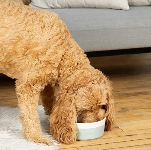 Dipper Ceramic Dog Bowl for Small and Large Breeds - Heavyweight and Durable Pet Food and Water Dish Crock, Dishwasher Safe, Modern (Rose, Small)
