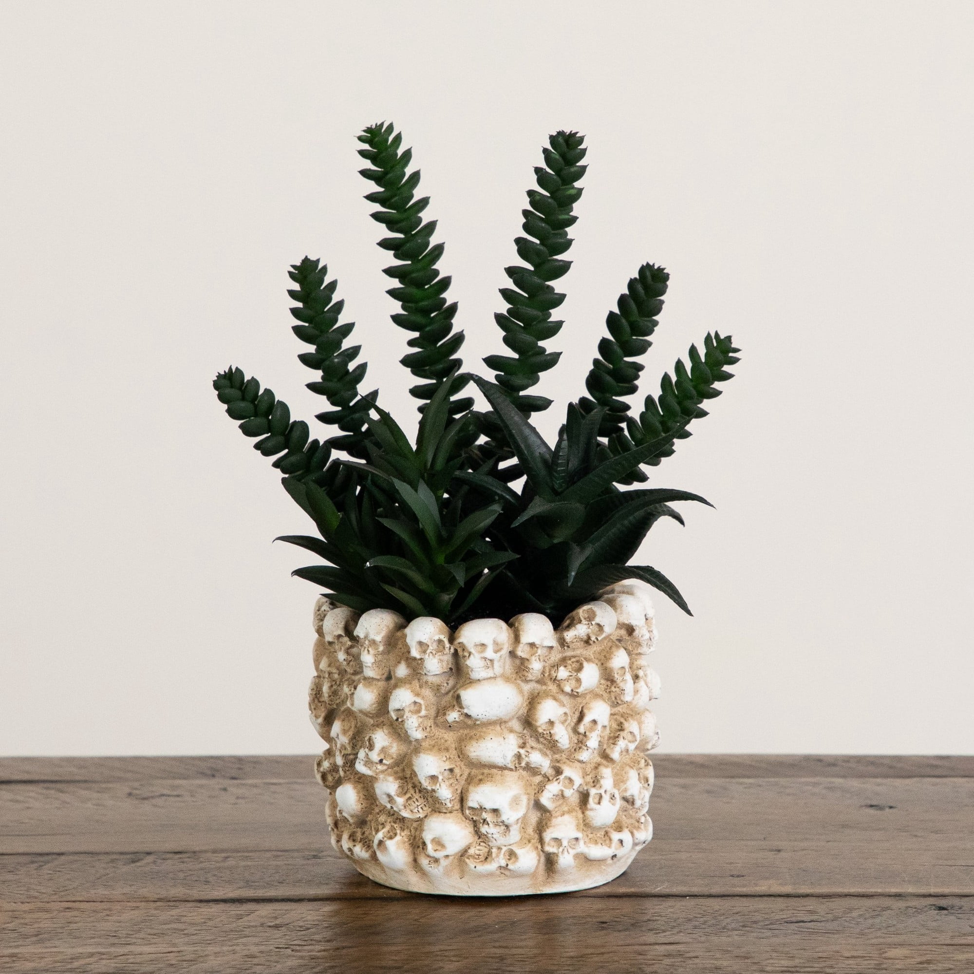 9in. Artificial Halloween Succulent Garden in Gothic Skull Planter