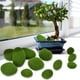 thumbnail image 2 of Piedras De Musgo Artificiales, Simulación Decorativa Para Jardín De Macetas Con 12 Uds. De Roca De Musgo, Bolas De Musgo Verdes Pequeñas, Medianas Y Grandes, 2 of 8