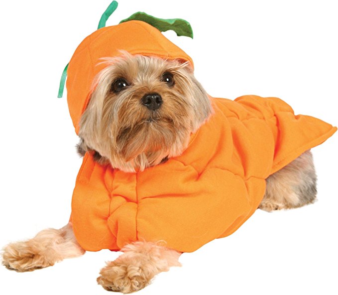 Punkin Pooch Petite Dog Costume