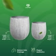 thumbnail image 4 of Worth 12" and 14.5" Round Planters, Magnesium Oxide Cement Plant Pots, Grey, 4 of 6