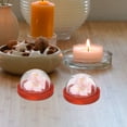 thumbnail image 3 of Shisuyan 3pcs Mini Glass Dome With Wood Base Dried Plant Specimen Display Dome Glass Displaying Dome With Tray, 3 of 8