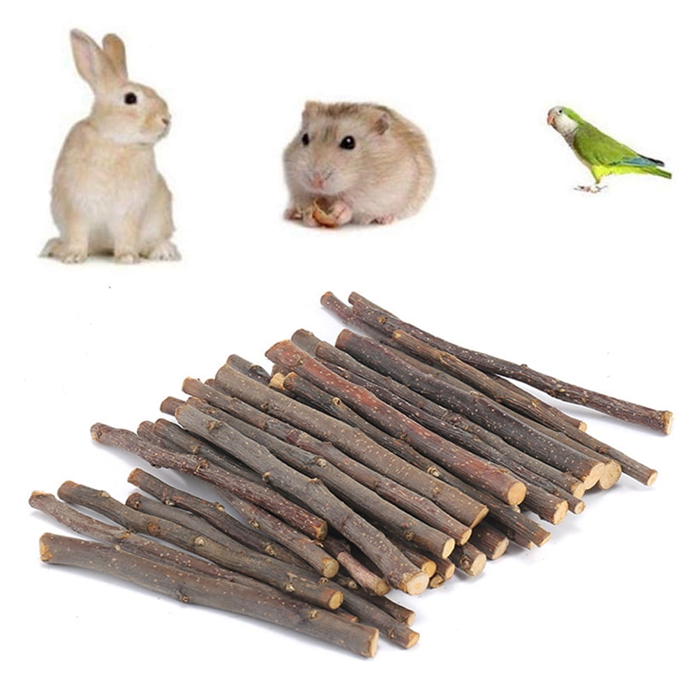 Hamster Apple Branch Wood Chew Sticks Twigs for Small Pets Rabbit Cat Parrot Toy 