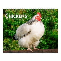 Chickens | 2026 7.5x6" Monthly Double-View Easel Desk Calendar | BrownTrout