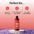 thumbnail image 6 of Soothing Oatmeal Shampoo for Dogs - Cleansing and Moisturizing Aloe & Oatmeal Dog Shampoo for Smelly Dogs of all Ages & Breeds - Gentle Sulfate and Paraben Free Dog Wash Made in USA (Sweet Fruity), 6 of 7