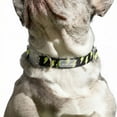 thumbnail image 5 of Oodles Polyester Lightning Bolt Adjustable Fashion Dog Collar, Black, Medium, 5 of 9
