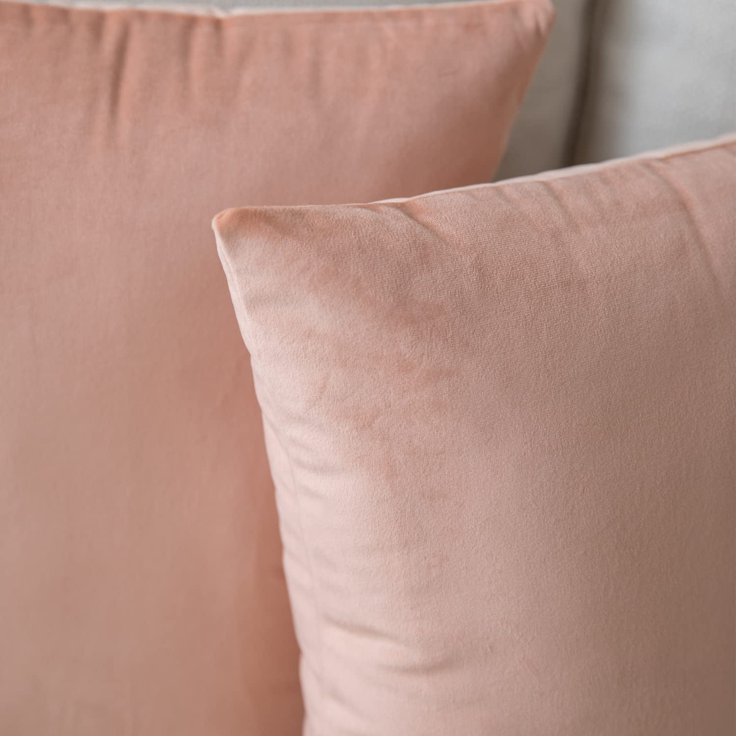 Dtwnek Pack of 2 Velvet Throw Pillow Covers Decorative Pillow Case Solid Color Cushion Case for Couch Living Room Sofa Bedroom Car, 24x24inch
