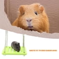 thumbnail image 1 of Juguete De Hámster De Madera Actividad De Animales Pequeños Ejercicio De Escalada (Swing Green), 1 of 3
