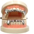 thumbnail image 4 of LAICAIW JINAO New Custom Fit Gold Plated Hip Hop Teeth Grillz Caps Fangs Top & Bottom Grill Set Vampire teeth, 4 of 5