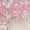 Pink Flower, variant on Modern Moments Baby Girl 4pc Outfit Set, Sizes (0-3 Months to 24 Months)