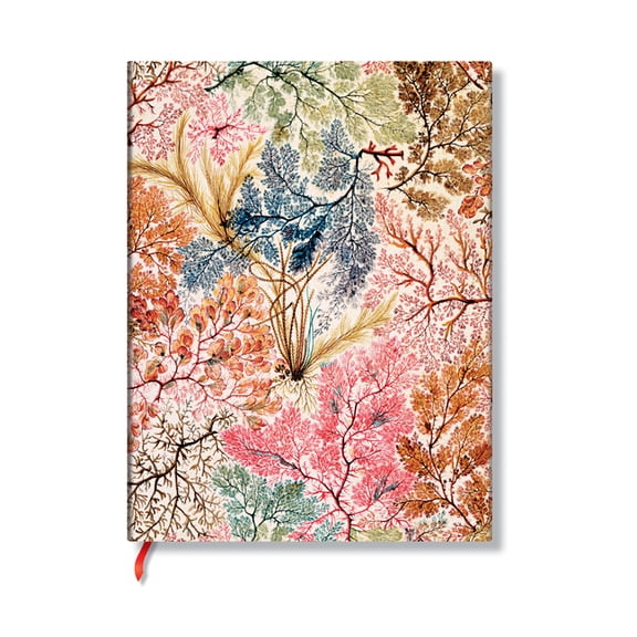 Anemone MIDI Lined Softcover Journal, 176pg, 100gsm by Paperblanks (William Kilburn), (Hardcover)