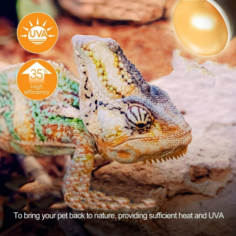 Reptile Heat Lamp 25W 2 PC Mini UVA Upgraded Nano Daylight Basking Spot Heat Lamp Bulbs for Bearded Dragon Tank Accessories Natural Sunlight Bulb for