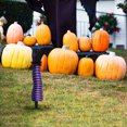 thumbnail image 6 of Fnochy Halloween Witch Legs Yard Stake Decoration, 13'' Upright Witch Leg Fearless of Wind and Rain, Sturdy 3D Shape Leg Suitable for Courtyards, Lawns and Halloween Home Decorations (Purple), 6 of 6