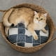 thumbnail image 4 of Puro Manual Rattan Tejido Gato Nido S Sin Afortunado Sencillez, 4 of 5