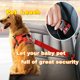 thumbnail image 2 of Cinturón de seguridad para coche para perros y gatos, correa ajustable, cinturón de seguridad para vehículos, Clip mágico, suministros para mascotas, arnés, palanca de seguridad, Collar de tracción Tan Jianjun unisex, 2 of 2