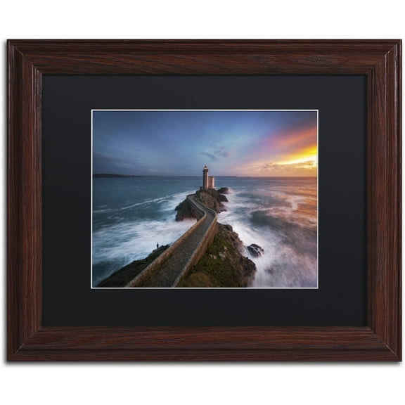 Trademark Fine Art "Red of Pleasure" Canvas Art by Mathieu Rivrin, Black Matte, Wood Frame