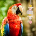 thumbnail image 3 of Miangastore Pet Bird Parrots Bite Toy Cuttlebone Pink 1Set 5.9x1.2x1.2in, 3 of 9