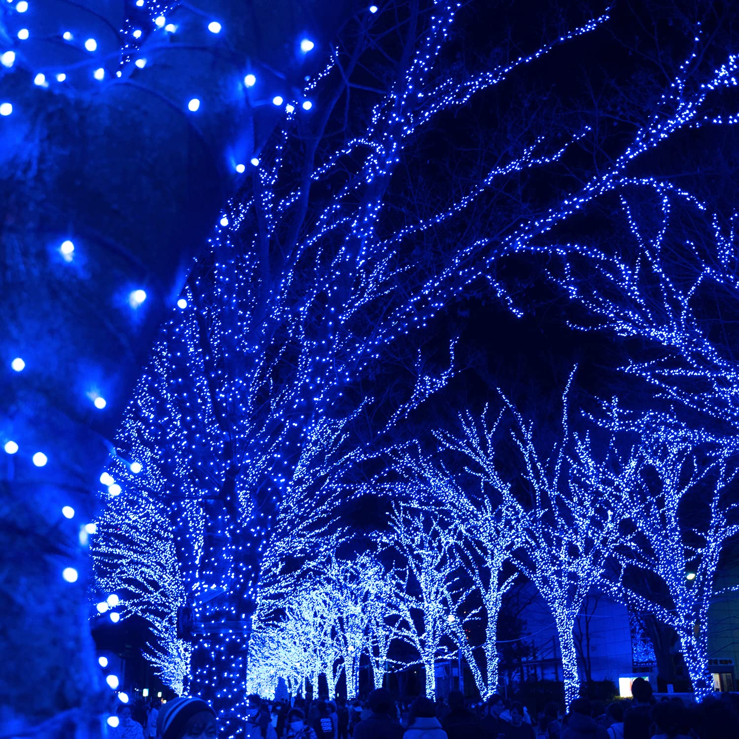 Rirool Solar Christmas Lights Outdoor Waterproof - 100 LED 39ft Blue String Lights with 8 Modes for Garden Party Tree Halloween Decorations - image 4 of 9