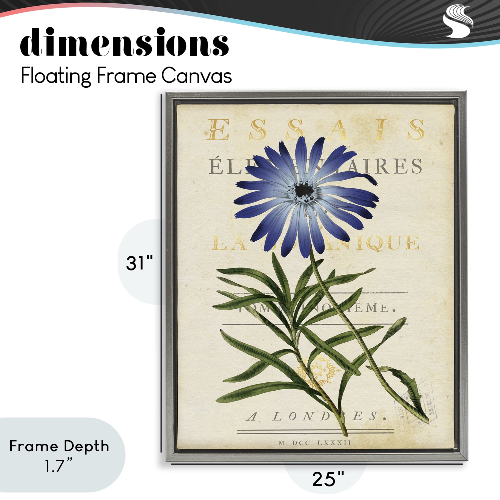 Stupell Industries Natural Botany Daisy Gray Framed Floater Canvas Wall Art, design by Susan Arnot